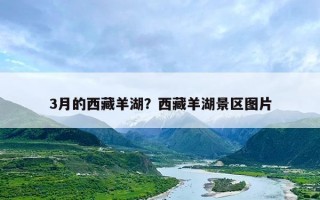 3月的西藏羊湖？西藏羊湖景区图片