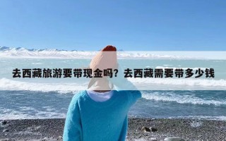 去西藏旅游要带现金吗？去西藏需要带多少钱