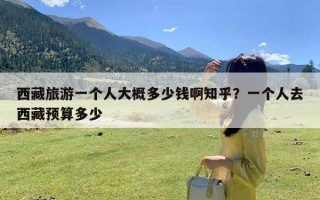 西藏旅游一个人大概多少钱啊知乎？一个人去西藏预算多少