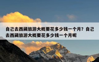 自己去西藏旅游大概要花多少钱一个月？自己去西藏旅游大概要花多少钱一个月呢