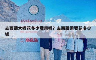 去西藏大概花多少费用呢？去西藏需要花多少钱