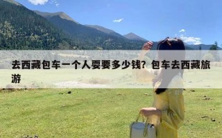 去西藏包车一个人耍要多少钱？包车去西藏旅游