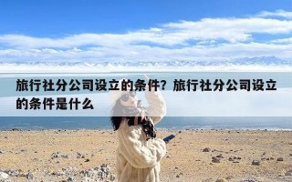 旅行社分公司设立的条件？旅行社分公司设立的条件是什么