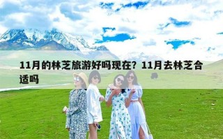 11月的林芝旅游好吗现在？11月去林芝合适吗