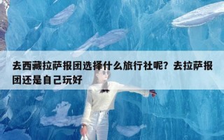 去西藏拉萨报团选择什么旅行社呢？去拉萨报团还是自己玩好