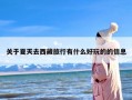 关于夏天去西藏旅行有什么好玩的的信息