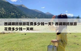 西藏跟团旅游花费多少钱一天？西藏跟团旅游花费多少钱一天啊