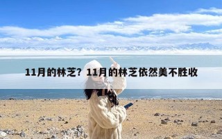 11月的林芝？11月的林芝依然美不胜收