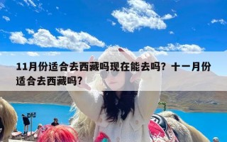 11月份适合去西藏吗现在能去吗？十一月份适合去西藏吗?