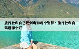 旅行社和自己规划出游哪个划算？旅行社和自驾游哪个好