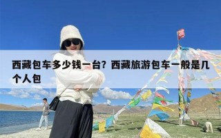 西藏包车多少钱一台？西藏旅游包车一般是几个人包