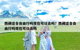 西藏适合自由行吗现在可以去吗？西藏适合自由行吗现在可以去吗