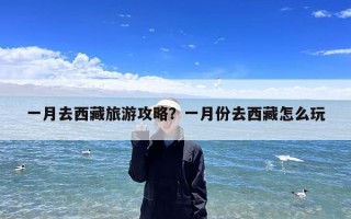 一月去西藏旅游攻略？一月份去西藏怎么玩