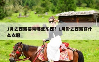 1月去西藏要带哪些东西？1月份去西藏穿什么衣服