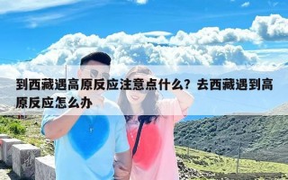 到西藏遇高原反应注意点什么？去西藏遇到高原反应怎么办