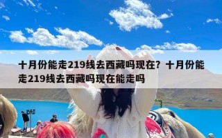 十月份能走219线去西藏吗现在？十月份能走219线去西藏吗现在能走吗