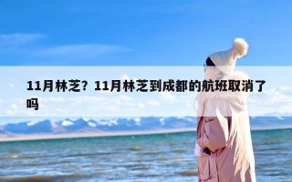 11月林芝？11月林芝到成都的航班取消了吗