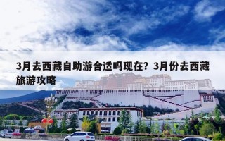 3月去西藏自助游合适吗现在？3月份去西藏旅游攻略