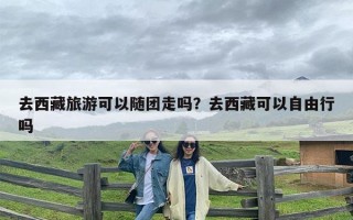 去西藏旅游可以随团走吗？去西藏可以自由行吗