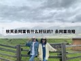 秋天去阿里有什么好玩的？去阿里攻略