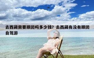 去西藏需要跟团吗多少钱？去西藏有没有跟团自驾游