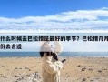 什么时候去巴松措是最好的季节？巴松措几月份去合适