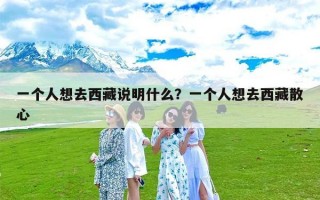 一个人想去西藏说明什么？一个人想去西藏散心