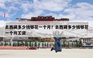 去西藏多少钱够花一个月？去西藏多少钱够花一个月工资