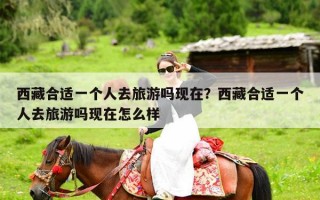 西藏合适一个人去旅游吗现在？西藏合适一个人去旅游吗现在怎么样