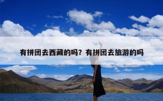 有拼团去西藏的吗？有拼团去旅游的吗