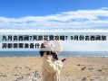 九月去西藏7天游花费攻略？9月份去西藏旅游都需要准备什么