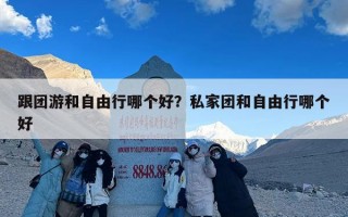 跟团游和自由行哪个好？私家团和自由行哪个好