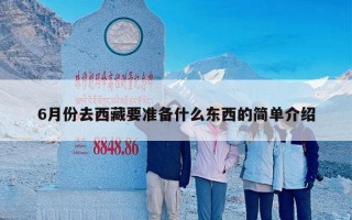 6月份去西藏要准备什么东西的简单介绍