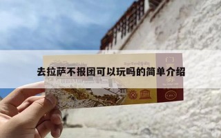 去拉萨不报团可以玩吗的简单介绍