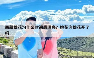 西藏桃花沟什么时间最漂亮？桃花沟桃花开了吗