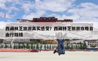 西藏林芝旅游真实感受？西藏林芝旅游攻略自由行路线