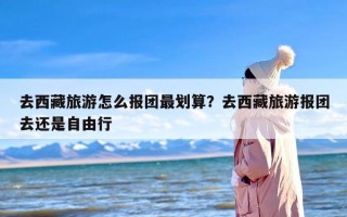 去西藏旅游怎么报团最划算？去西藏旅游报团去还是自由行
