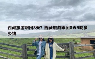 西藏旅游跟团8天？西藏旅游跟团8天9晚多少钱