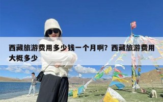 西藏旅游费用多少钱一个月啊？西藏旅游费用大概多少