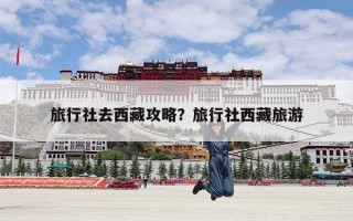旅行社去西藏攻略？旅行社西藏旅游