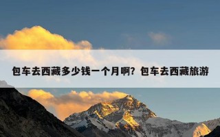 包车去西藏多少钱一个月啊？包车去西藏旅游