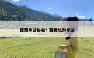 西藏导游协会？西藏旅游导游