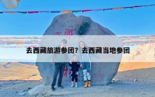 去西藏旅游参团？去西藏当地参团