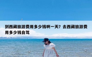 到西藏旅游费用多少钱啊一天？去西藏旅游费用多少钱自驾