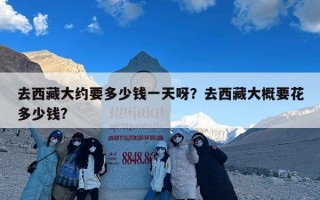 去西藏大约要多少钱一天呀？去西藏大概要花多少钱?
