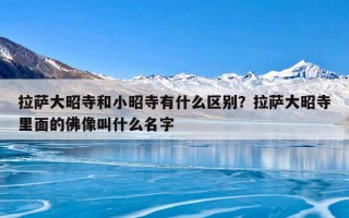 拉萨大昭寺和小昭寺有什么区别？拉萨大昭寺里面的佛像叫什么名字