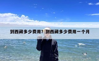 到西藏多少费用？到西藏多少费用一个月