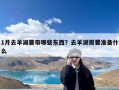 1月去羊湖要带哪些东西？去羊湖需要准备什么