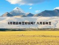 8月初去林芝好玩吗？八月去林芝