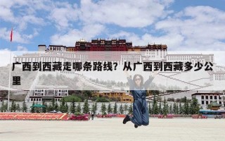 广西到西藏走哪条路线？从广西到西藏多少公里